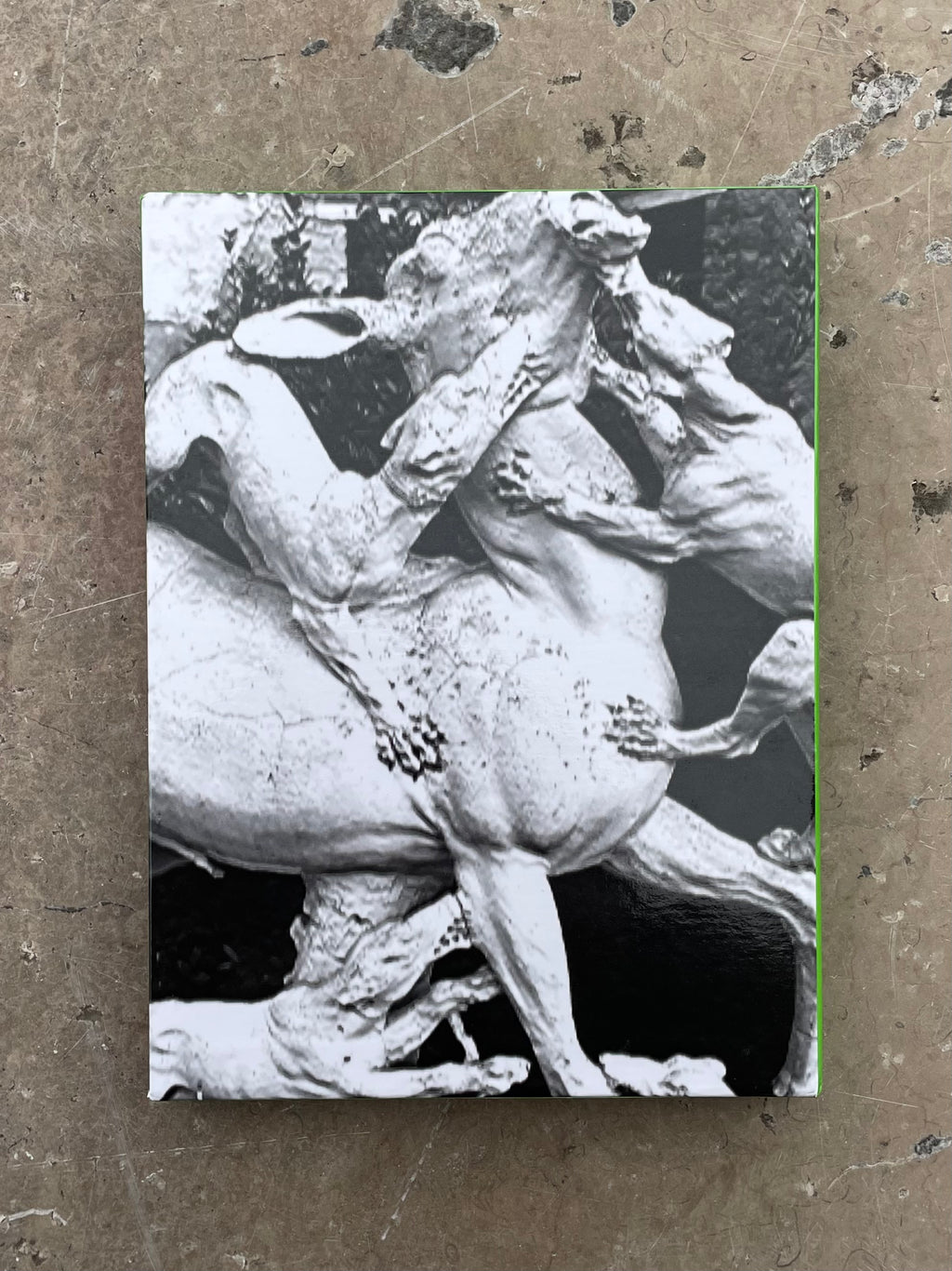 Gucci by Harmony Korine 2019