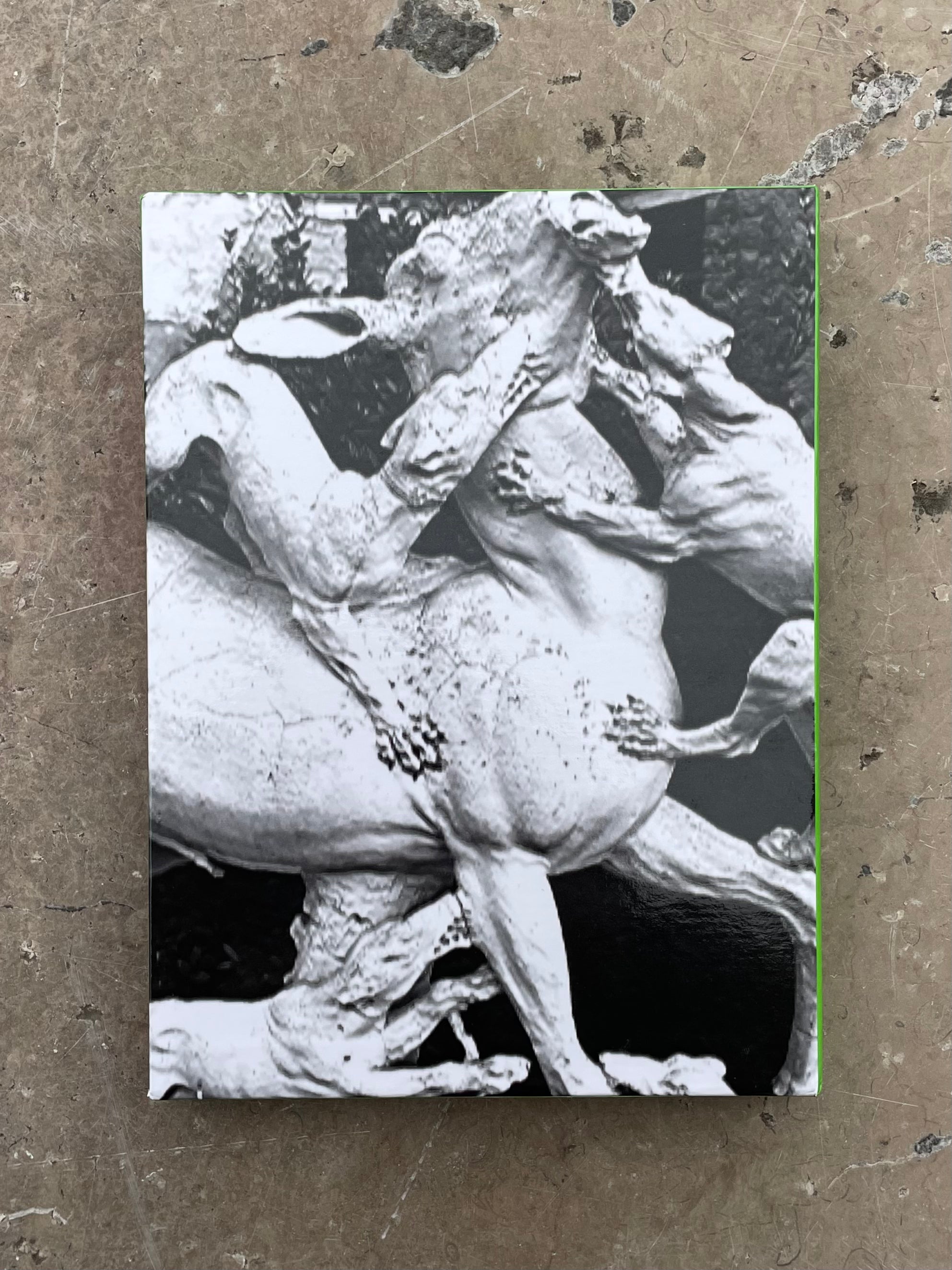 Gucci by Harmony Korine 2019